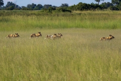 Botswana-2023002