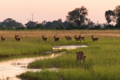 Botswana-2023053