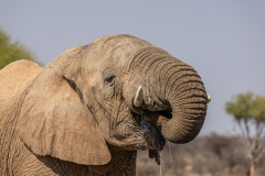 Namibia-2022015