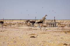 Namibia-2022033