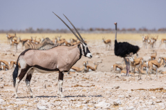 Namibia-2022042