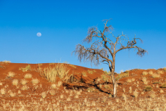 Namibia-2022050