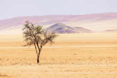 Namibia-2022058