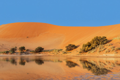 Namibia-2022068