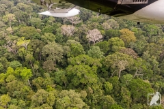 Flug über den Regenwald