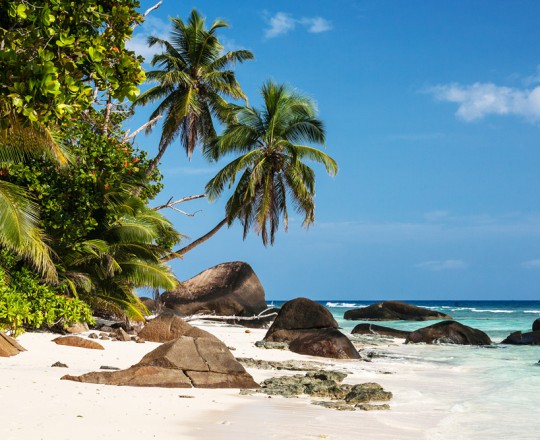Ostküste von Silhouette | Seychellen